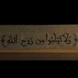 Telegram profile photo for القرآن الكريم