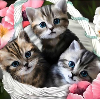 Telegram profile photo for kartinkiipozdravleniya21