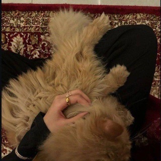 Telegram profile photo for مأوای من