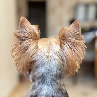 Telegram profile photo for мелкий арбузик рокси🍉
