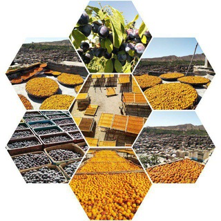 Telegram profile photo for کانال خبری پیام خور