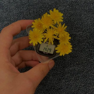 Telegram profile photo for ππ²π΄π»π΄π
π
πΈπ°π»π
π