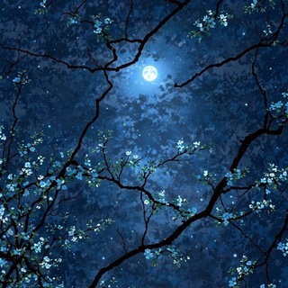 Telegram profile photo for عاشقانه های ماه و شب