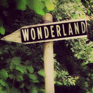 Telegram profile photo for Wonderland (Scotland)