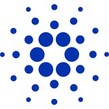Telegram profile photo for 5 Phút Cardano Việt Nam ANN