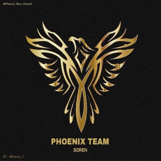 Telegram profile photo for Phoenix Team