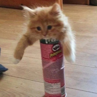 Telegram profile photo for Анекдоты с пикчами