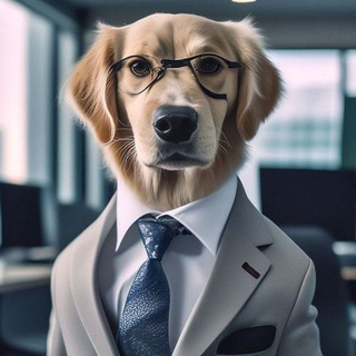Telegram profile photo for бонга камс