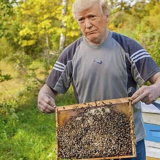 Telegram profile photo for БАШКИРИЯ в мемах👀