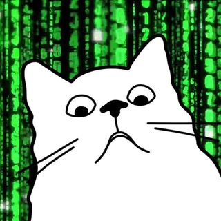 Telegram profile photo for Кот программиста | IT юмор