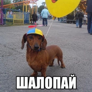 Telegram profile photo for Угадай че ваттну🍥