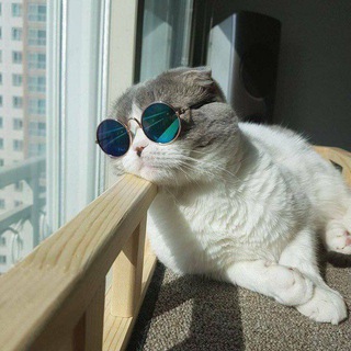 Telegram profile photo for ءَنا عملت اِيه ؟!