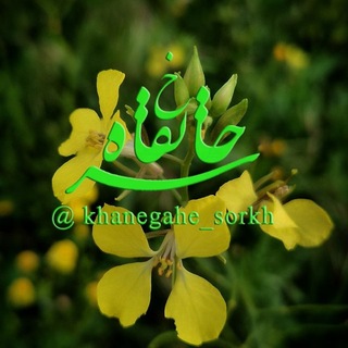 Telegram profile photo for خانقاه سرخ