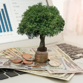 Telegram profile photo for Invest wisely