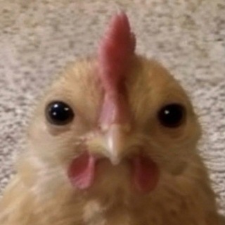 Telegram profile photo for D.dmi курятник