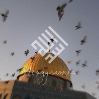 Telegram profile photo for Асадуллоҳҳа