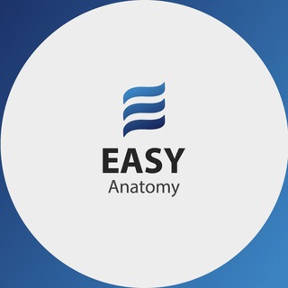 Telegram profile photo for EASY ANATOMY//Dr.Hussein Yousif