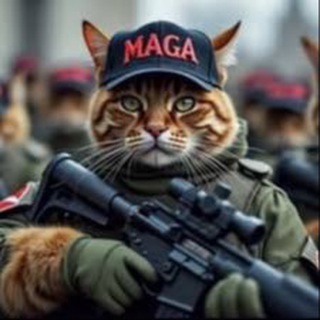 Telegram profile photo for MAGACAT PORTAL