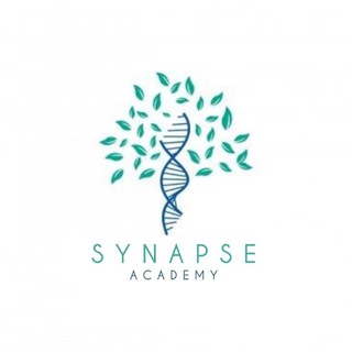 Telegram group profile photo for Synapse group