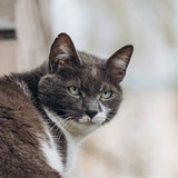 Telegram profile photo for SleepyCAKE | Photo | inomorsea