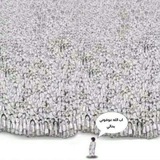 Telegram profile photo for يمكن ميمز ويمكن احزان