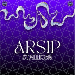 Telegram profile photo for ARSIP STALLIONS