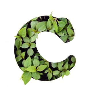 Telegram profile photo for Стерлитамач 💚