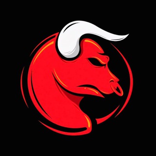 Telegram profile photo for MR TRADING