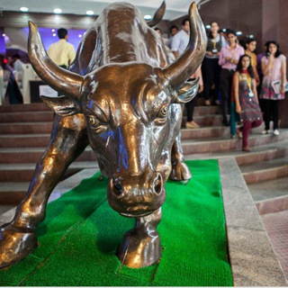 Telegram profile photo for Zexia Unique Trading.