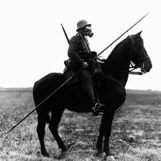 Telegram profile photo for warhorse - mental siege