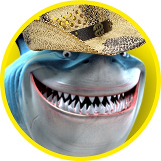 Telegram profile photo for Doc Shark