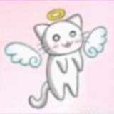 Telegram profile photo for 🪽