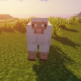 Telegram profile photo for Shaderpack for Minecraft