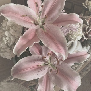 Telegram profile photo for юша болтает🌸