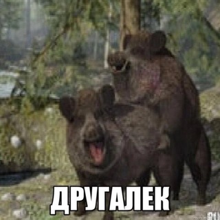 Telegram profile photo for drygalyok_style