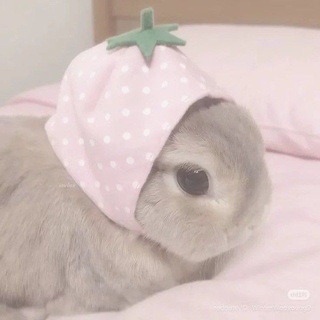 Telegram profile photo for ааа рест о нет 元気いっぱい!!