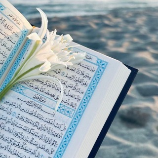 Telegram profile photo for نبض الآيات 💙