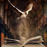Telegram profile photo for ✍أّلـ~ــَمًثًـقُـفــُ‹»ـوٌنِ📚