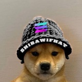 Telegram profile photo for ShibaWifHat On Solana