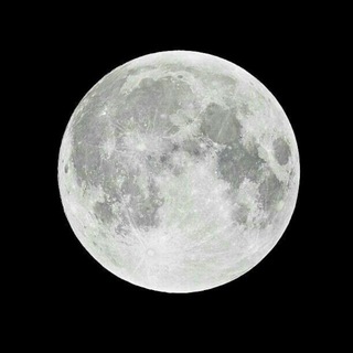 Telegram profile photo for «⏾» инɸо чᴀᴛоʙ ʍиᴧᴋи
