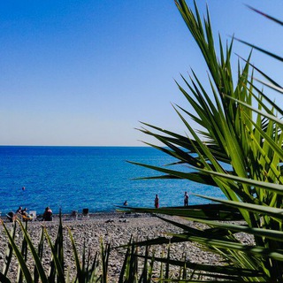 Telegram profile photo for Путеводитель по Анапе 🏖️