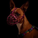 Telegram profile photo for 🐶Джейсі_staff🐾