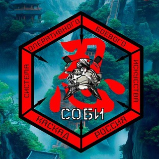 Telegram profile photo for Система Оперативного Боевого Искусства (OMAS)
