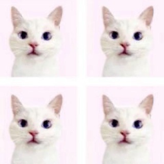 Telegram profile photo for m0sie - m00sie⋆ ♡