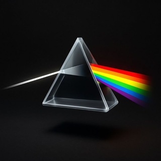 Telegram profile photo for Shill Your Tonnel