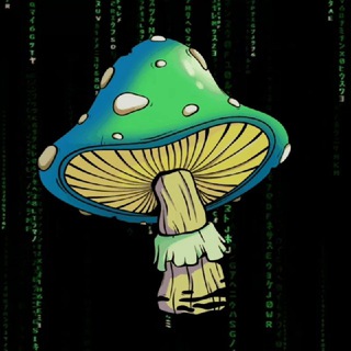 Telegram profile photo for TON MUSHROOMs NFT.