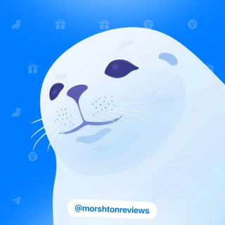 Telegram profile photo for morsh.reviews