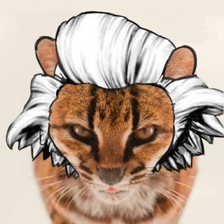 Telegram profile photo for Tuhaochi