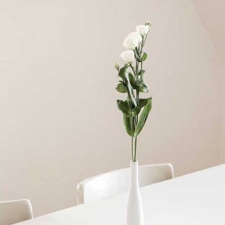 Telegram profile photo for صدقه جاريه لوالدي ١♥