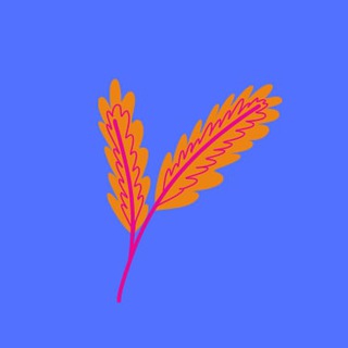Telegram profile photo for История ЦТ/ЦЭ